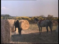 'I Vizi di Selen' screenshot nº 97