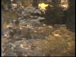 'I Vizi di Selen' screenshot nº 102