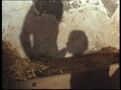 'I Vizi di Selen' screenshot nº 118