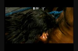Captura de 'Lost On Paradise Island' nº 95