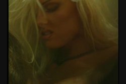 'Hollywood Orgies: Nikki Tyler' screenshot nº 20