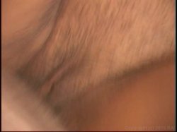 'Cougars Gone Black' screenshot nº 69