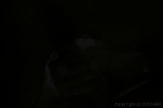 Employee of the Mouth - Scene4 - 1