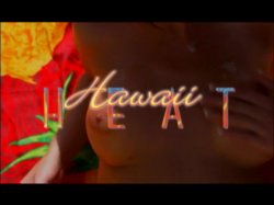 Captura de 'Hawaii Heat' nº 3