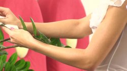Captura de 'Feelings Lust For My Own Body' nº 90