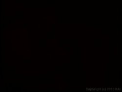 'Soloerotica 2' screenshot nº 28