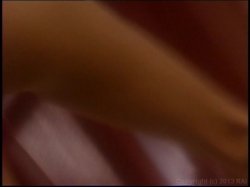 'Soloerotica 2' screenshot nº 8