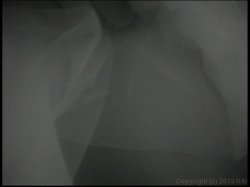 'Soloerotica 2' screenshot nº 11