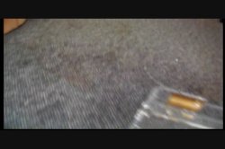 Captura de 'Blue Ribbon Butt Fucks' nº 122