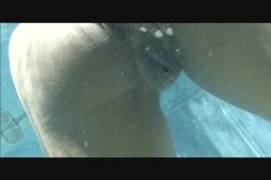 Captura de 'All Dat Azz 39' nº 78