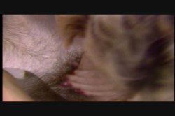 'Beetlejism' screenshot nº 101