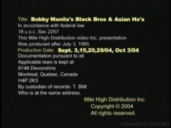 'Black Bros & Asian Ho's' screenshot nº 1
