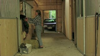Riding School 5: Driving School - Scena5 - 6