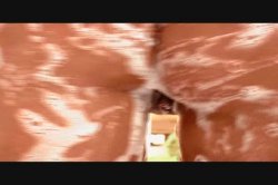 Captura de 'Big Black Wet Butt Orgy 3' nº 62