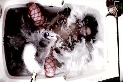 'Assploitations 9' screenshot nº 6