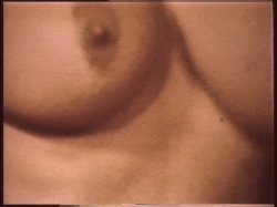 'I Remember Uschi Digard' screenshot nº 8