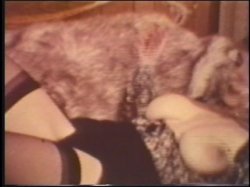 'Tit Queens of the Past Vol. 2' screenshot nº 8