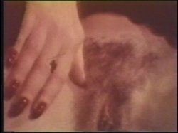 'Tit Queens of the Past Vol. 2' screenshot nº 26