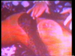 Captura de 'Andrew Blake's Girls' nº 2