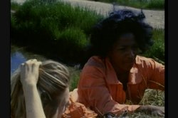 Captura de 'Wild Things' nº 4
