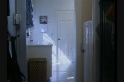 Captura de 'Wild Things' nº 100
