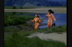 Captura de 'Wild Things' nº 2