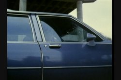 Captura de 'Wild Things' nº 33