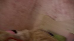 'Angie 20 Yrs Wannabe Pornstar Gives POV Blowjob & Gets Fucked' screenshot nº 16
