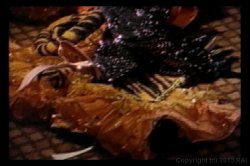 Captura de 'Women Who Love Girls Of The 80's' nº 32