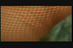 Captura de 'Hot 40+ 3' nº 26