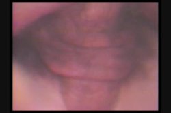 'Sweet Spread' screenshot nº 138