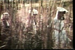 'Wild River Girls' screenshot nº 50