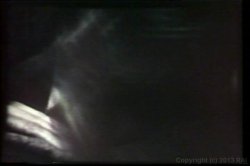 'Wild River Girls' screenshot nº 88