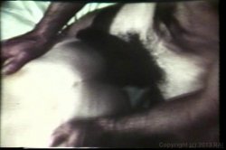 'Wild River Girls' screenshot nº 107