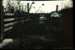 'Wild River Girls' screenshot nº 116