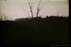 'Wild River Girls' screenshot nº 28