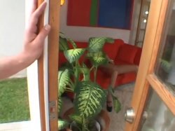 Captura de 'Meet the Twins #8' nº 88