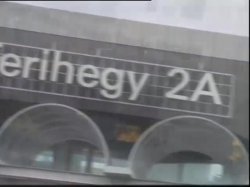 'A.A.A. Selen Cercasi' screenshot nº 3