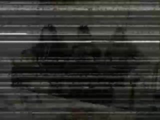 A.A.A. Selen Cercasi - Scena2 - 1