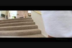 'Young Wet Horny 5: The Best of The Young Ones' screenshot nº 34