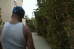 Captura de 'Black Mother Fuckers' nº 31