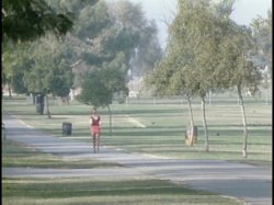 'Animal in Me' screenshot nº 4