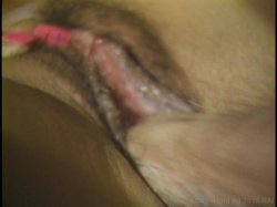 'Animal in Me' screenshot nº 48