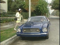 'Animal in Me' screenshot nº 13