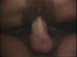'Animal in Me' screenshot nº 131