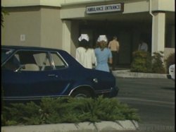 'Animal in Me' screenshot nº 15