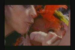 'Hall of Fame: Cassidey' screenshot nº 70