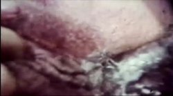 'My Dads Dirty Movies - Volume 13' screenshot nº 52