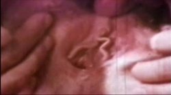 'My Dads Dirty Movies - Volume 13' screenshot nº 89