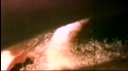 'My Dads Dirty Movies - Volume 13' screenshot nº 15